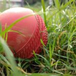 Red cricket ball resting in long green grass