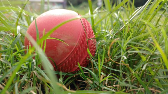 Red cricket ball resting in long green grass